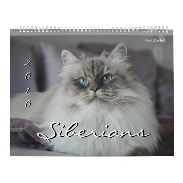2010 Sibériens Chats & Chatons Calendrier 3 (Protection)