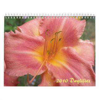 2010 Taglilien Kalender