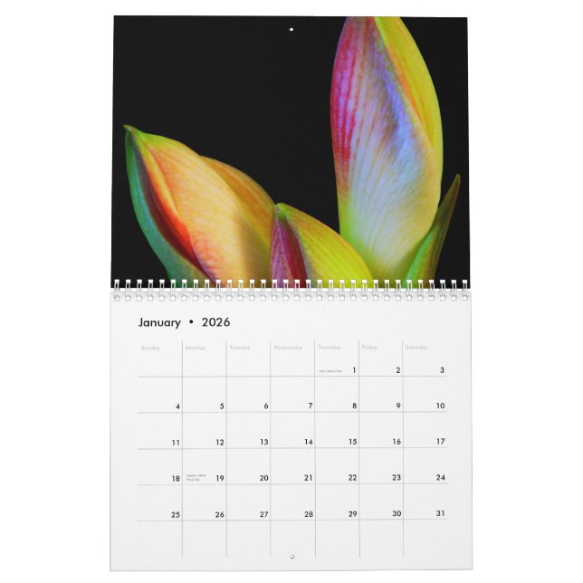 2011 calendrier - fleurs (Jan 2026)