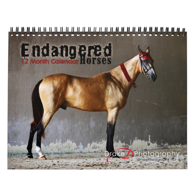 2011 Kalender für gefährdete Pferdezucht (Titelbild)