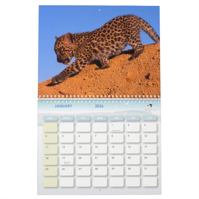 2011 Leopard-Kalender Kalender (Jan 2026)