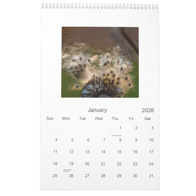 2011 Makro + Nahaufnahmen (vertikaler Kalender) Kalender (Jan 2026)