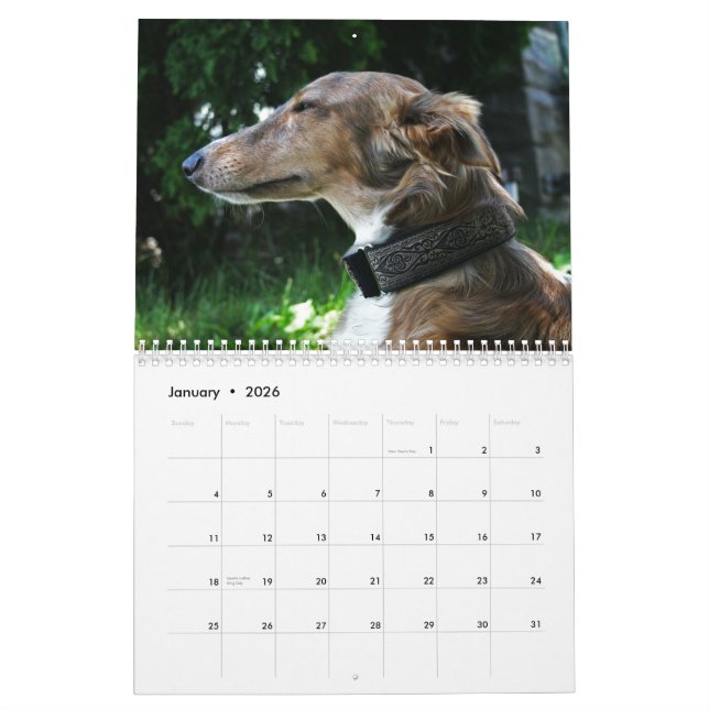 2011 seidenes Windhounds 2011 (Erwachsene) Kalender (Jan 2026)