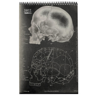2011 SKULL/SKELETON/ANATOMY - Tang13. Kalender
