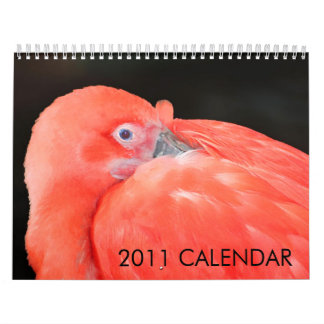 2011 Tier-Kalender hergestellt durch Aremac Kalender