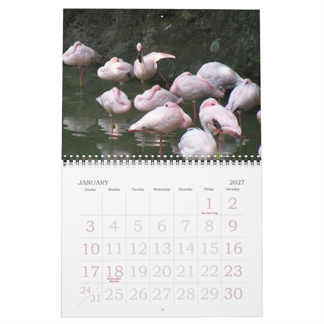 2011 Vögel Kalender (Jan 2027)