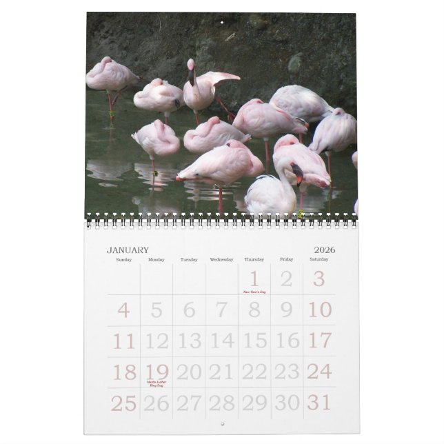 2011 Vögel Kalender (Jan 2026)