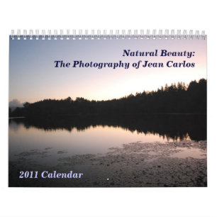 2011 Wandkalender