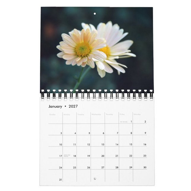 2012 Gänseblümchen-Wandkalender Kalender (Jan 2027)