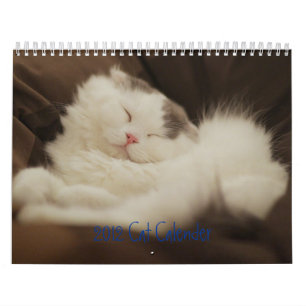 2012 niedliche Katzen Kalender