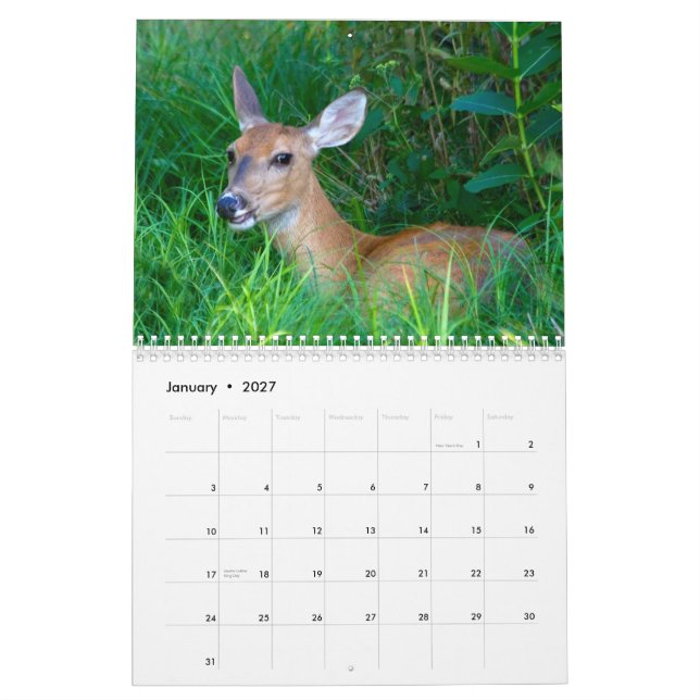 2012 Rotwild-Liebhaber-Kalender Kalender (Jan 2027)