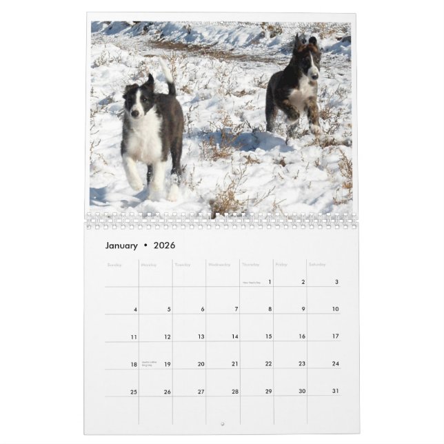 2012 seidene Windhounds Welpen 2 Kalender (Jan 2026)