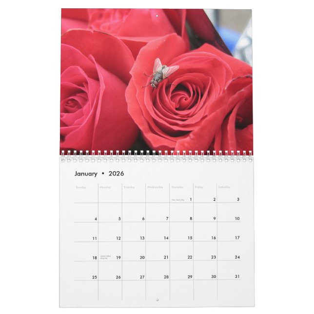 2013-14 der 12-monatige Kalender des (Jan 2026)