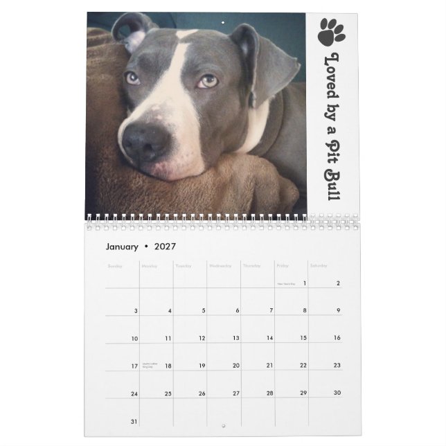 2013 Blauer u. Sinatra Kalender (Jan 2027)