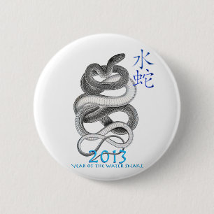 2013 BUTTON