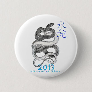 2013 BUTTON