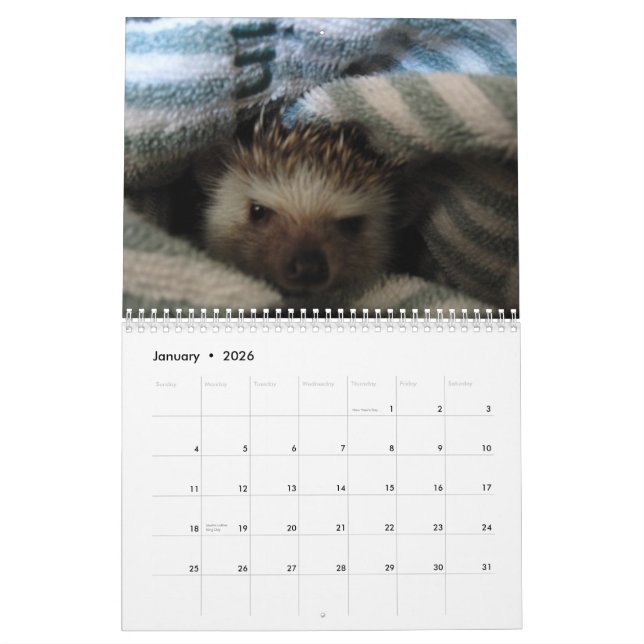 2013 calendrier 2 (Jan 2026)