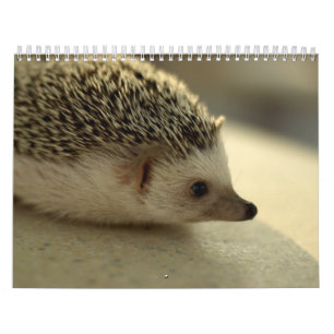 2013 calendrier 4