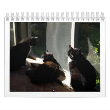 2013 calendrier - cinq amende Felines