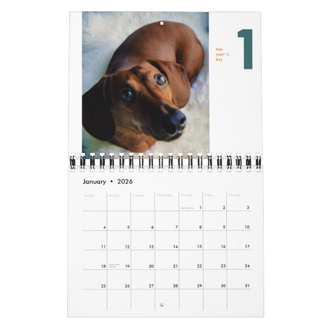 2013 calendrier de teckel - chumley minuscule (Jan 2026)