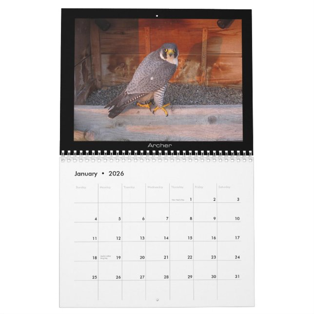 2013 calendrier - images principales de came (Jan 2026)