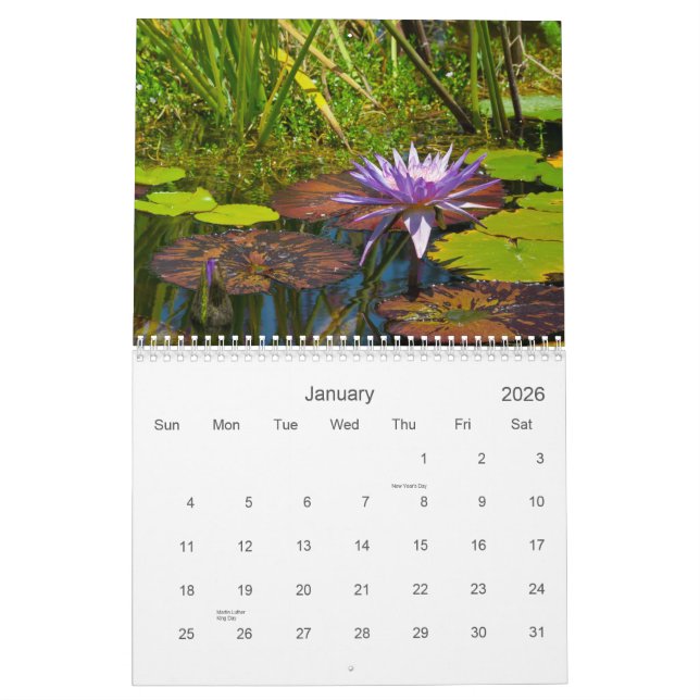 2013 calendrier - la collection I de Shotwell (Jan 2026)