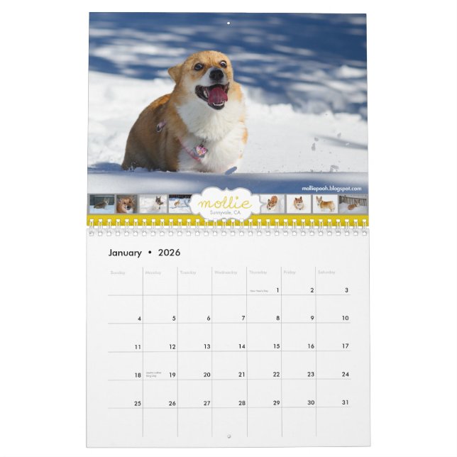 2013 Corgis! Kalender (Jan 2026)