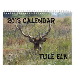 2013 Elch-Kalender Kalender