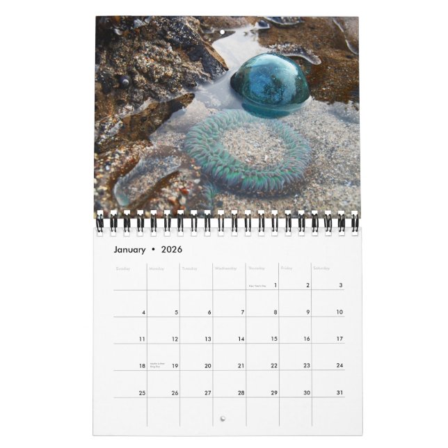 2013 Japanischer Glass-Float-Kalender Kalender (Jan 2026)