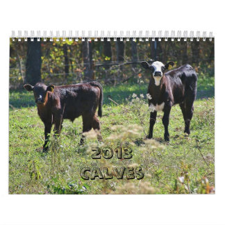 2013 Kälber Kalender
