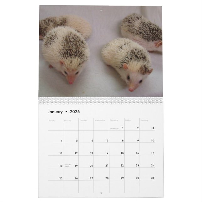2013 Kalender 4 (Jan 2026)