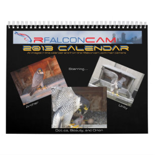 2013 Kalender - Hauptnocken-Bilder