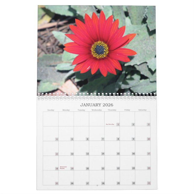 2013 Kalender - Natur (Jan 2026)