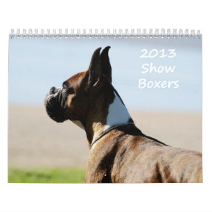 2013 Show-Boxer-Kalender Kalender