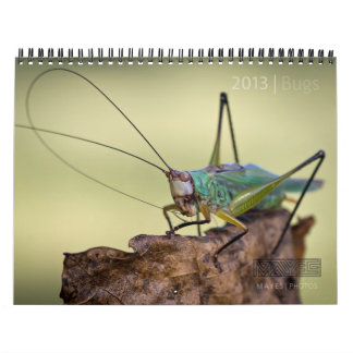 2013 WANZEN-"SPEZIELLER" KALENDER DURCH MAYES