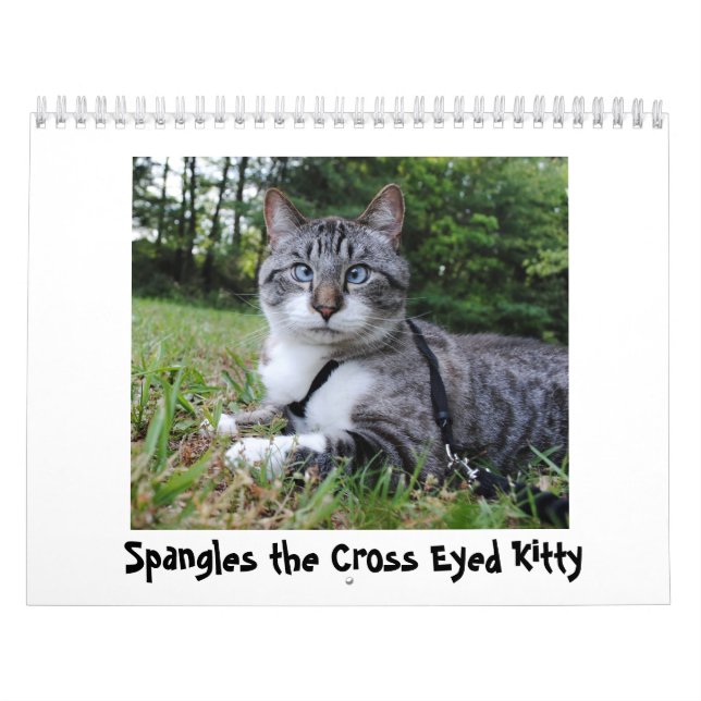 2014 Flitter-Kalender Kalender (Titelbild)