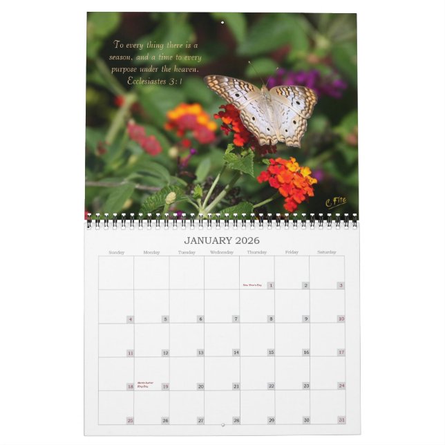 2014 Inspirations-Kalender - Schmetterlinge Kalender (Jan 2026)