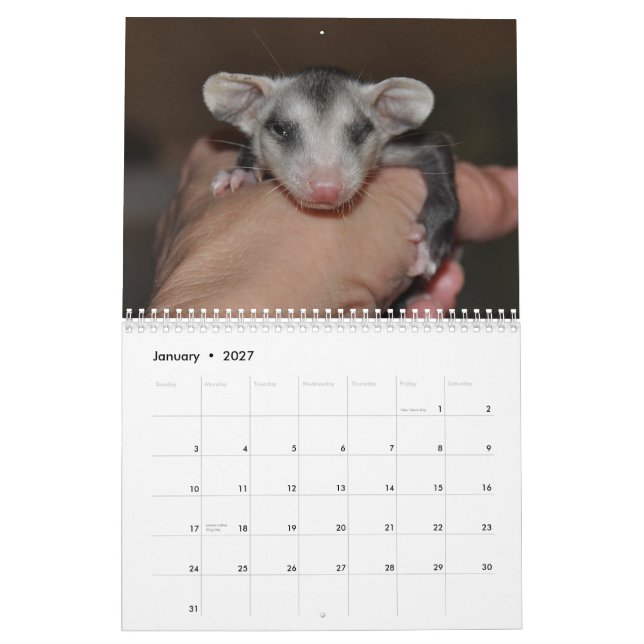 2014 Kalender - Opossum-Babys (Jan 2027)
