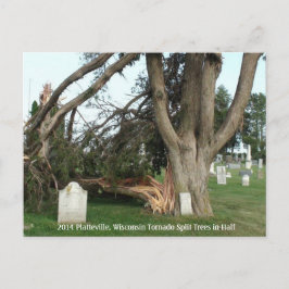 2014 Platteville, Tornadoes Memorabilia Postcard Postkarte
