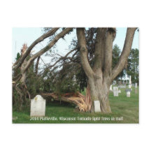 2014 Platteville, Tornadoes Memorabilia Postcard