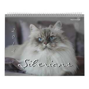 2014 Sibirier-Katzen-u. Kätzchen-Kalender Kalender