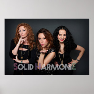 2014 SIE Plakat