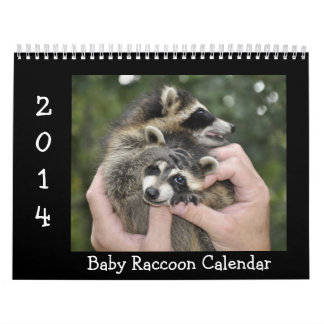 2014 Tier-Kalender - Baby-Waschbären Kalender