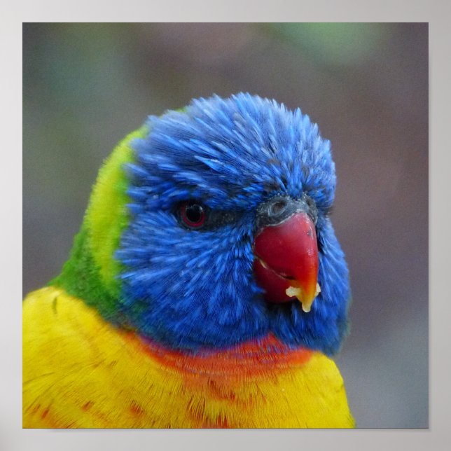 _2015_0203 POSTER (Vorne)