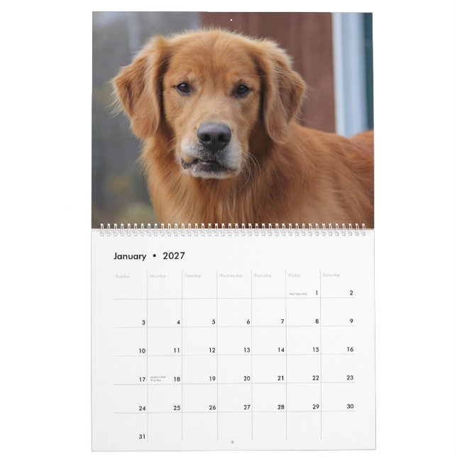 2015 8 Meilen-golden retriever Caledar Kalender (Jan 2027)