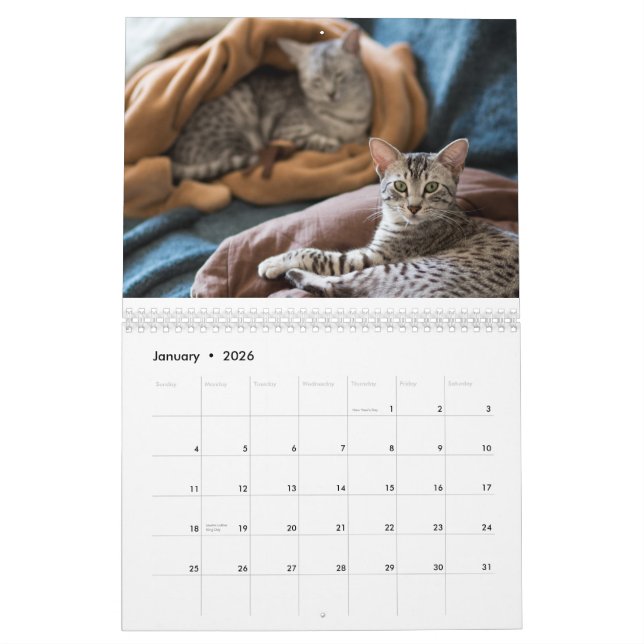2015 Ägypter Mau Kalender: Katzen des Pharoahs Kalender (Jan 2026)
