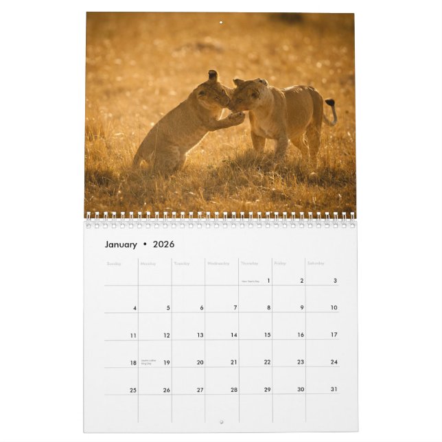 2015 Baby Animals by McDonald Wildlife Fotografy Kalender (Jan 2026)