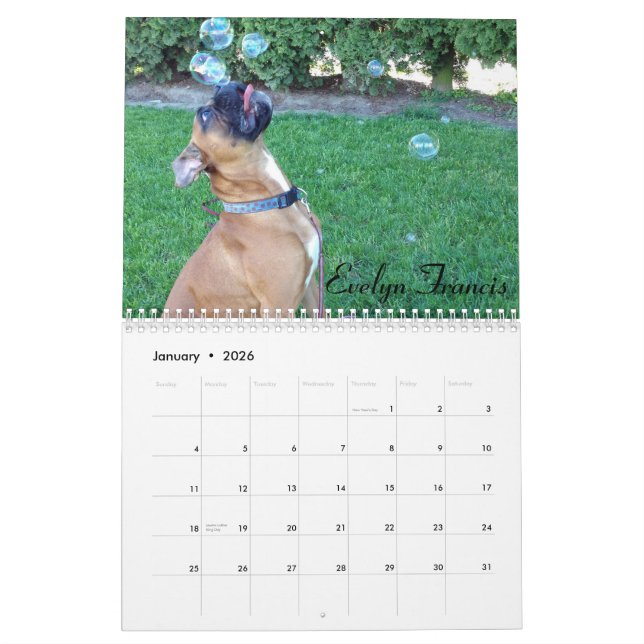 2015 calendriers maladroits de boxeur (Jan 2026)