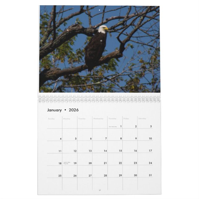 2015 dehors calendriers du Wisconsin (Jan 2026)