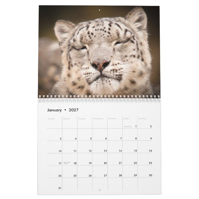 2015 große Katzen-Kalender durch Kalender (Jan 2027)